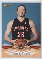 Hedo Turkoglu