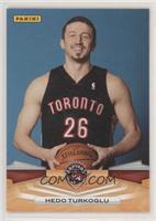 Hedo Turkoglu [EX to NM]