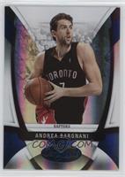 Andrea Bargnani #/100