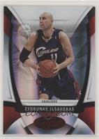 Zydrunas Ilgauskas #/250