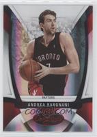 Andrea Bargnani #/250