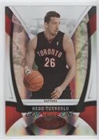 Hedo Turkoglu #/250