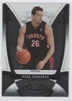 Hedo Turkoglu