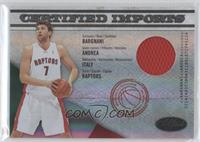 Andrea Bargnani #/25