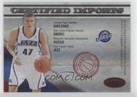 Andrei Kirilenko #/250