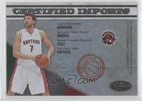 Andrea Bargnani #/500