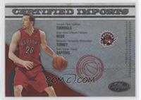 Hedo Turkoglu #/500