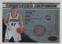 Andrei Kirilenko #/500