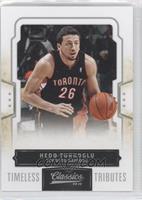 Hedo Turkoglu #/100