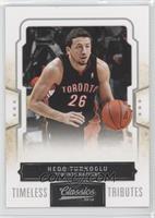 Hedo Turkoglu #/100