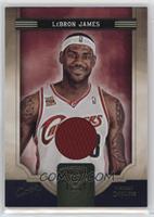 LeBron James #/299