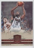 John Salmons #/149