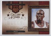 Luol Deng #/149