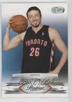 Hedo Turkoglu #/25