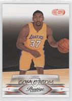 Ron Artest #/300