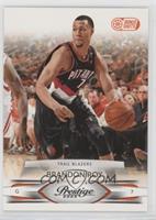 Brandon Roy #/300