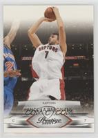 Andrea Bargnani