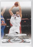 Andrea Bargnani