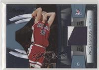 Chase Budinger #/100