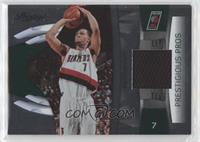 Brandon Roy #/100