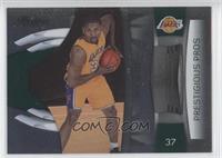 Ron Artest #/500