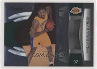 Ron Artest #/500