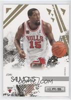 John Salmons #/500