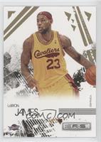 LeBron James #/500