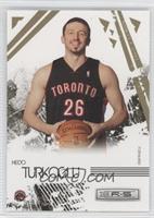 Hedo Turkoglu #/500