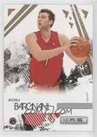 Andrea Bargnani #/500