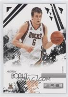 Andrew Bogut