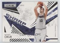 Mehmet Okur #/100