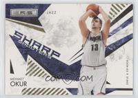 Mehmet Okur #/500