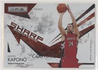 Jason Kapono #/250