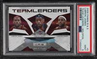 LeBron James [PSA 9 MINT] #/250