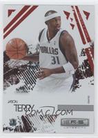 Jason Terry #/250