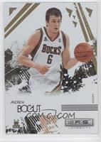 Andrew Bogut