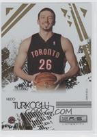 Hedo Turkoglu