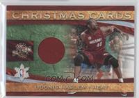 Udonis Haslem #/499