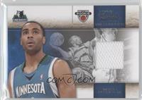 Wayne Ellington #/249