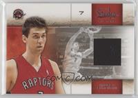 Andrea Bargnani #/100