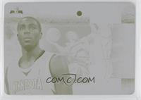 Wayne Ellington #/1