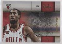 John Salmons #/49