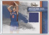 Danilo Gallinari #/249