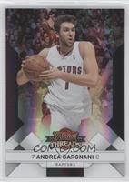 Andrea Bargnani #/249