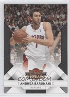 Andrea Bargnani