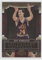 Jeff Hornacek #/100