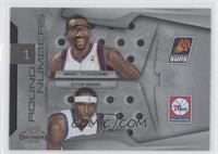 Amar'e Stoudemire, Elton Brand