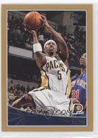 T.J. Ford #/2,009