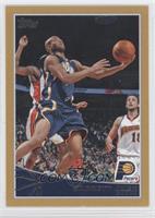 Jarrett Jack #/2,009